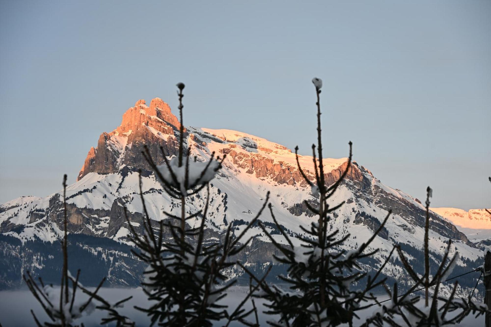 Chalet Montana Combloux Extérieur photo